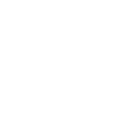 Express Shipping Icon